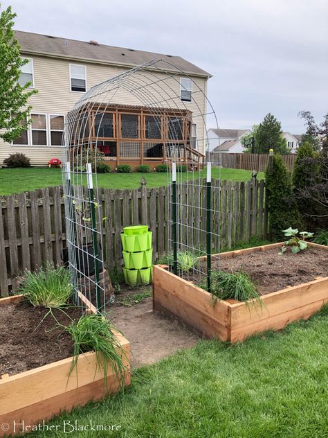 Hog Wire Trellis Arbors, Raised Garden Beds Climbing Plants, Shade Raised Bed Garden, Vegetable Garden With Arch, Chicken Wire Around Garden Raised Beds, Garden Bed Arch Trellis, Raised Flower Beds With Trellis, Raised Bed Garden Arch, Diy Raised Garden Bed With Trellis