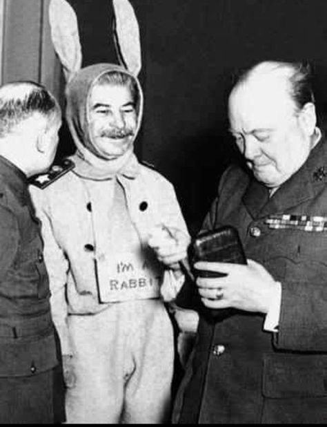 Joseph Stalin, Bunny Costume, A Bunny