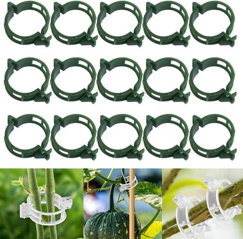 PRICES MAY VARY. 🌱【Secure your Plants with Ease】Our gardening fixing clip is a perfect tool for planting flowers and vegetables. Bind seedlings without damaging vines with high clamping efficiency, providing the best protection for your plants. Quick and easy to use, these clips promote the growth of your plants, keeping them neat and orderly, and adding garden vitality to your harvest! 🍎【Premium Quality】Our tomato trellis clips are made of high-quality clear PP plastic material, featuring a s Tomato Trellis, Plant Cages, Plant Clips, Opening Design, Trellis Plants, Plant Protection, Plant Supports, Carving Designs, Planting Vegetables