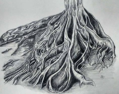 #art #artist #artistsoninstagram #illustration #illustrator #drawing  #artworks  #beginnerartist #selftaught #resim #cizim #illustrasyon  #turkey #sketch #sketchbook #artoftheday #karakalem #blackandwhite #eyes  #charcoal #instaart #instaartist #art_spotlight #ankara #tree #roots Tree Roots Drawing, Turkey Sketch, Roots Drawing, Manuscript Art, Tree Drawings, Illustrator Drawing, Water Drawing, Tree Roots, Tree Drawing