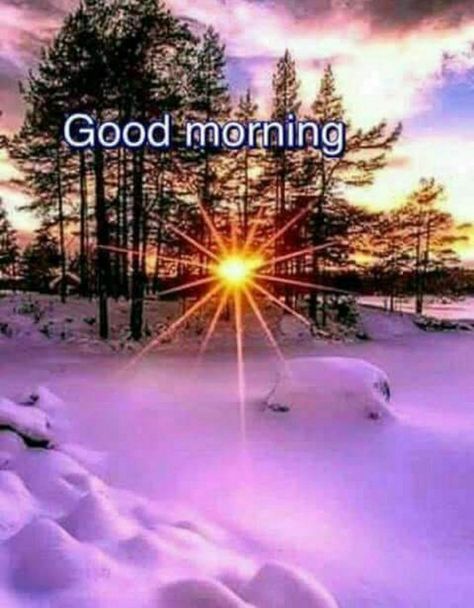 Beautiful Good Morning Picture - DesiComments.com Good Morning Winter Images, Cute Good Morning Pictures, Morning Jokes, Good Morning Winter, Good Morning Handsome, Good Morning Happy Saturday, Cute Good Morning Images, Morning Message, Morning Nature