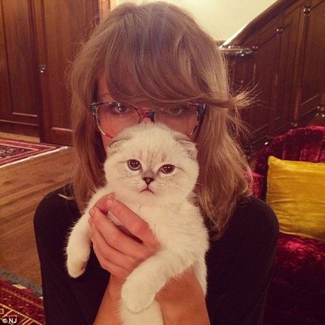 Cuddly: She also has a kitten by the name of Olivia Benson, after the Law & Order: Special... Meredith And Olivia, Olivia Benson, Wearing Glasses, T Swift, T Swizzle, Taylor Swift Pictures, Swift 3, The Music Industry, Taylor Alison Swift