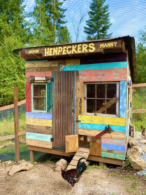 Chicken Coop From Scrap Wood, Pallet Board Chicken Coop, Scrap Wood Chicken Coop, Colorful Chicken Coop, Diy Pallet Chicken Coop, Pallet Chicken Coop, Pallet Coop, Chicken Coups, Chicken Board