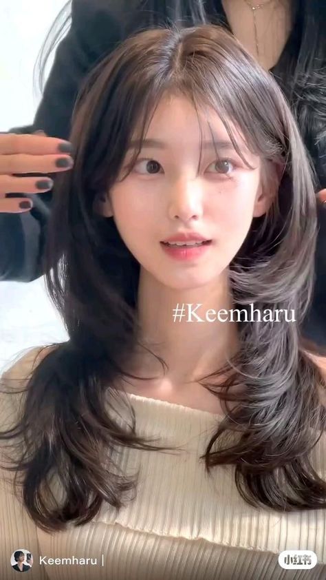 Korean Haircut Wispy Bangs, Long Haircut With Bangs Straight, How To Style A Hush Cut, Medium Hair Cuts For Women With Round Faces Shoulder Length, Bangs Aesthetic Korean, Hush Cut No Bangs, How To Style Hush Cut, Soft Jellyfish Haircut, Hime Cut With Curtain Bangs