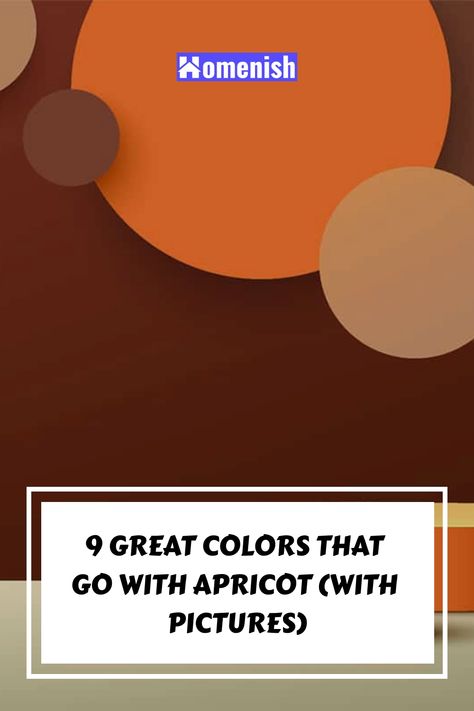 9 Great Colors that Go with Apricot (with Pictures) Apricot Color Palette Colour Schemes, What Colors Go With Orange, What Color Goes With Orange, Shades Of Orange Colour Palettes, Apricot Yellow Color Palette, Apricot Crush Color, Deep Apricot Color, Apricot Fruit, Rgb Color Codes