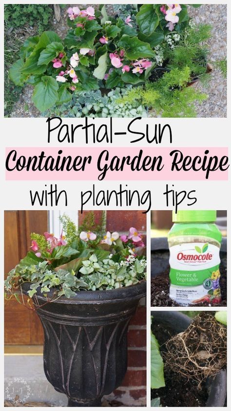 6 Step Recipe for Partial-Sun Container Garden Plus Planting Tips | Lost & Found Diy Container Garden, Patio Shade Diy, Container Landscaping, Indoor Gardening Ideas, Indoor Gardening Supplies, Diy Container, Container Herb Garden, Planting Tips, Container Gardening Flowers