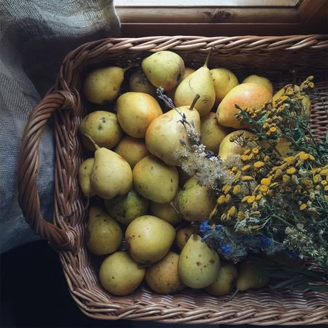 Farm Lifestyle, Slow Living, Country Life, Country Living, Farm Life, Food Styling, Fruits And Vegetables, Food Photography, Pear