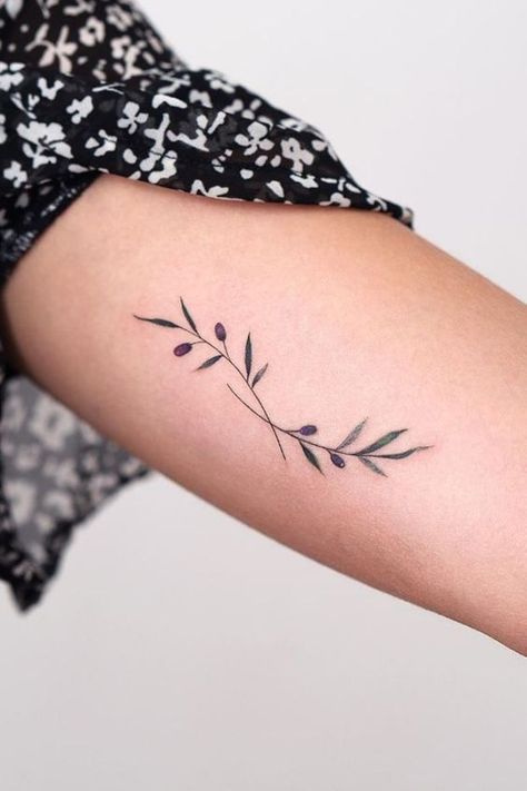 Tattoo Ideas Olive Branch, Ankle Olive Branch Tattoo, Two Olive Branch Tattoo, Olive Branch Tattoo With Words, Olive Branch Small Tattoo, Olive Branch Tattoos For Women, Small Olive Branch Tattoo Simple, Olive Tattoo Branch, Olive Branches Tattoo