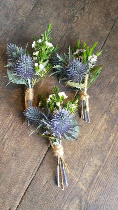 Simple buttonholes of sea holly and wax flower @aflorumflorist Wildflower Inspiration, Windmill Wedding, Dance Flowers, Textured Buttercream, Early Spring Wedding, Simple Wedding Bouquets, Holly Decorations, Holly Wedding, Blue Thistle