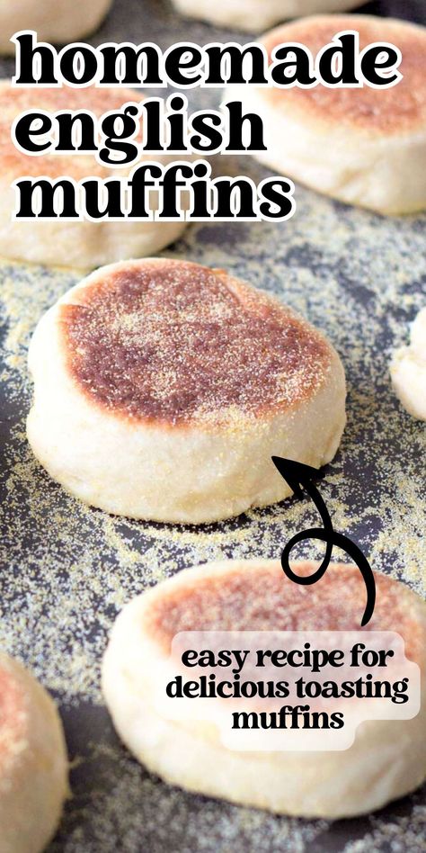 Easy Homemade English Muffins with a simple honey sweetened dough. These toasting muffins are  cooked in a skillet instead of baked in the oven. Home Made English Muffins, Keto English Muffin Recipe, Homemade English Muffins Easy, Healthy English Muffin, English Muffin Recipe, Quick Breakfast Sandwich, Recipes By Ingredients, English Muffin Bread, English Muffin Pizza