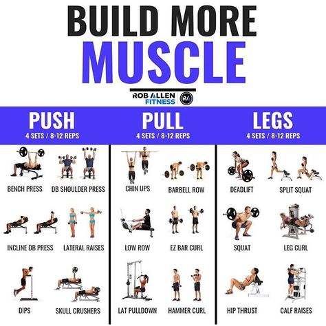 💥Build More Muscle💥 . For more fitness/nutrition info follow @roballenfitness 💪🏼 . The ever so famous Push/Pull/Legs split. It’s a great… Push Pull Legs Workout, Split Workout Routine, Push Pull Workout, Push Pull Legs, Push Workout, Muscle Abdominal, Workout Splits, Weight Training Workouts, Body Workout Plan