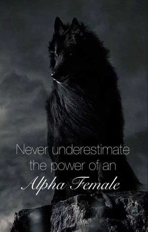 Werewolf Core, Wolf Sayings, Jericho Barrons, Wolf Symbolism, Girlie Quote, Alpha Female Quotes, Chola Makeup, Fantasy Wolves, Harsh Quotes