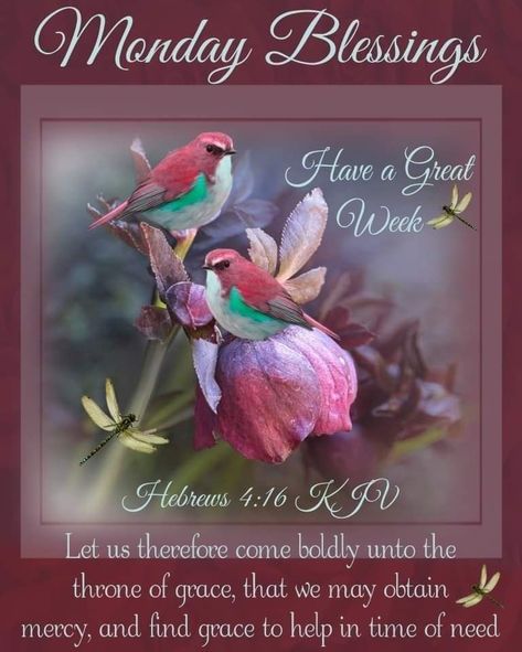 Monday Bible Verse, Scripture Blessings, Bon Sabbat, Kjv Bible Verses, Hebrews 4 16, Kjv Scripture, Throne Of Grace, Monday Blessings, Have A Great Week