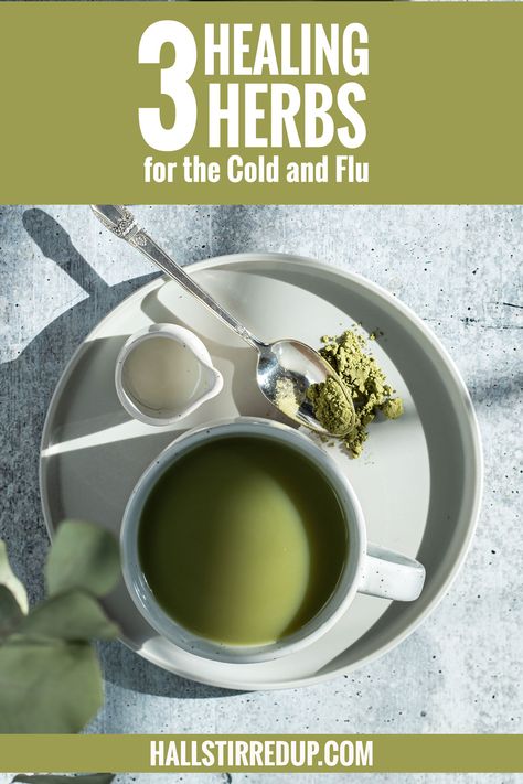 Many over the counter remedies can be ineffective or cause reactions. Here are 3 herbs you might want to try to help ease your cold or flu symptoms. #herbs #cold #flu #holisticwellness #healing #herbalmedicine #healingherbs #peppermint #wellness #health #herbalremedies Peppermint Tea Benefits, Garlic Health Benefits, Cold Tea, Garlic Benefits, Mushroom Tea, Turmeric Health Benefits, Peppermint Tea, Turmeric Benefits, Herbs Indoors