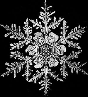 snowflake.  Sacred Geometry. Geometría Sagrada Fractals In Nature, Snowflake Bentley, Snow Flake Tattoo, Stamp Template, Snowflakes Real, Experimental Art, Snowflake Photos, Art Coquillage, Art Fractal