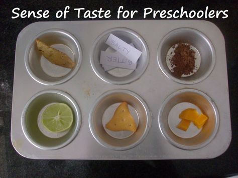 For this week's Muffin Tin Monday I'm sharing a snack and activity we did with our muffin tin - Taste Testing!  I created this activity to teach my preschooler about her sense of taste.  I wrote do... Safety Activities, Community Helpers Preschool Activities, Senses Preschool, Emergent Curriculum, Worksheets For Preschoolers, Sense Of Taste, Activity For Preschoolers, Senses Activities, Sensory Crafts