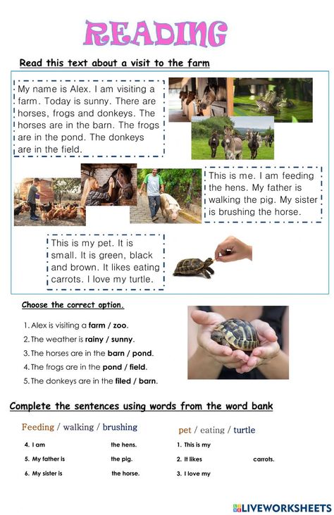 Farm Reading Comprehension, Animals Worksheet, Esl Reading Comprehension, Vocabulary Test, English Homework, First Grade Reading Comprehension, Reading Comprehension For Kids, Esl Reading, English Grammar For Kids