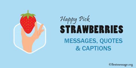 Happy Pick Strawberries Day Messages,Short Strawberries Quotes. best Strawberry Picking Captions For Instagram. Strawberry Picking Quotes, Funny Strawberry Quotes, Strawberry Quotes Instagram, Strawberries Quotes, Strawberry Quotes, Pick Strawberries, Strawberry Picking, Messages Quotes, Captions For Instagram