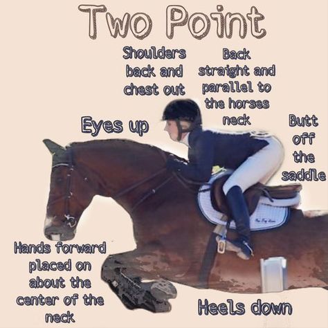 Horse Jumping Tips, Horse Riding Tips For Beginners, Horse Riding Tips English, Equestrian Tips, Horse Jumping Exercises, Horses Funny, Jumping Exercises, Trail Riding Horses, Horse Training Exercises