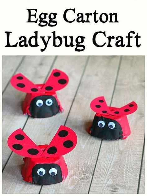 ladybug egg carton craft - bug crafts- acraftylife.com Eric Carle Crafts, Ladybug Craft, Thanksgiving Activities For Kindergarten, Crafts Recycled, Insect Crafts, Ladybug Crafts, Bug Crafts, Egg Carton Crafts, Spring Crafts For Kids