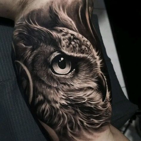 Owl Forearm Tattoo, Inside Bicep Tattoo, Geometric Owl Tattoo, Inside Of Arm Tattoo, Half Sleeve Tattoos Forearm, Inner Bicep Tattoo, Animal Sleeve Tattoo, Tattoo World, Brazil Art