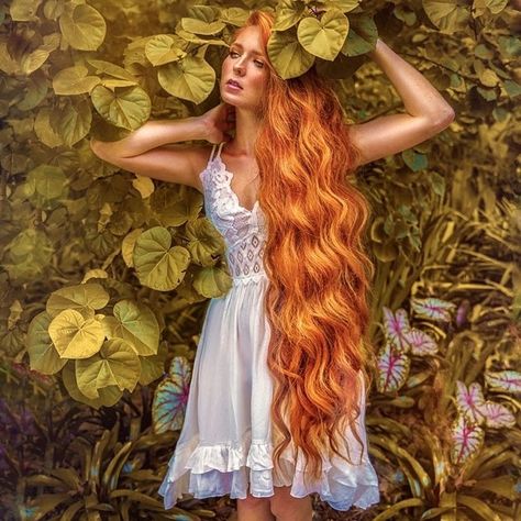 Scarlett O Hair, Super Cute Hairstyles, Long Red Hair, Hair Fashion, Long Red, Beautiful Long Hair, Layered Cuts, Inspirational Videos, Female Images