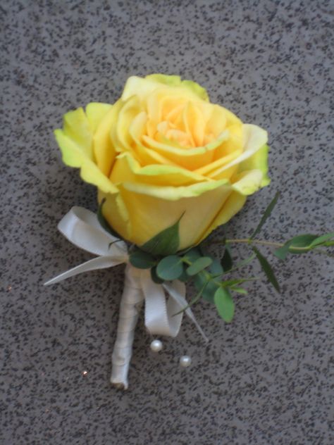 A Passionflower yellow rose buttonhole, with a sprig of Eucalyptus and cream ribbon to base.  www.passion-flower.net Rose Boutineer, Pocket Boutonniere, Rose Buttonhole, Cascading Wedding Bouquets, Button Holes Wedding, White Tulips, Passion Flower, Wedding Florals, Wedding Groom