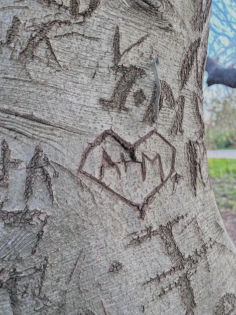 Relationship couple initials carved into a tree Carving Initials In Tree, Initials Aesthetic, Initials Carved In Tree, Tree Carving Initials, Carving Aesthetic, Ring Mehndi Design, Birthday Balloons Pictures, Diy Photo Book, Image Couple