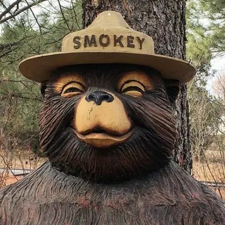 Smoky The Bear, Smoky Bear, Bear Reference, Bear Pumpkin, Fiddlehead Fern, Dont Feed The Bears, Fiddlehead Ferns, Childhood Memories 80s, Smokey Bear