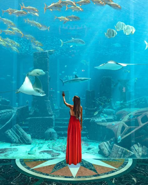 Shangri La Dubai, Dubai Picture Ideas, Atlantis The Palm Dubai, Atlantis Dubai, Best Hotels In Dubai, Dubai Photoshoot, The Palm Dubai, Atlantis The Palm, Dubai Aquarium