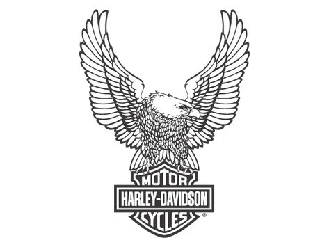 Harley Davidson Eagle, Harley Logo, Templates Edit, Free Logo Design, Motorcycle Logo, Logo Design Free Templates, Png Logo, Harley Davidson Logo, Eagle Logo