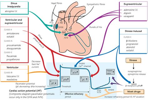 Nursing Information, Nursing Mnemonics, Pharmacy School, Pharmacology Nursing, Cardiac Nursing, Critical Care Nursing, Nurse Rock, Respiratory Therapy, Nursing School Tips