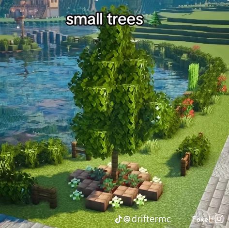 Dark Oak Forest Seed Minecraft, Easy Custom Tree Minecraft, Minecraft Empty Space Ideas, Minecraft Enclosure, Minecraft Path Design, Minecraft Flower Garden, Animal Farm Minecraft, Minecraft Path Ideas, Minecraft Tree