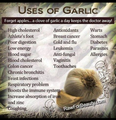 Garlic Benefits, Poor Digestion, Common Cold, High Cholesterol, Foods To Eat, Health Info, Natural Medicine, Health Remedies, Herbal Remedies