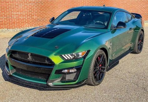 Green Mustang, Shelby Gt 500, Gt 500, Shelby Gt, Shelby Gt500, Ford Mustang Shelby, Mustang Cars, Mustang Shelby, Ford Mustang Gt