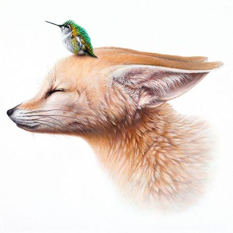 This Artist Transforms The Animal World Into One Of Puzzling Beauty And Surreal Interrelationship Art Fox, Fox Drawing, Fox Painting, Fox Illustration, Fox Art, Arte Animal, Personal Space, Canadian Artists, 귀여운 동물