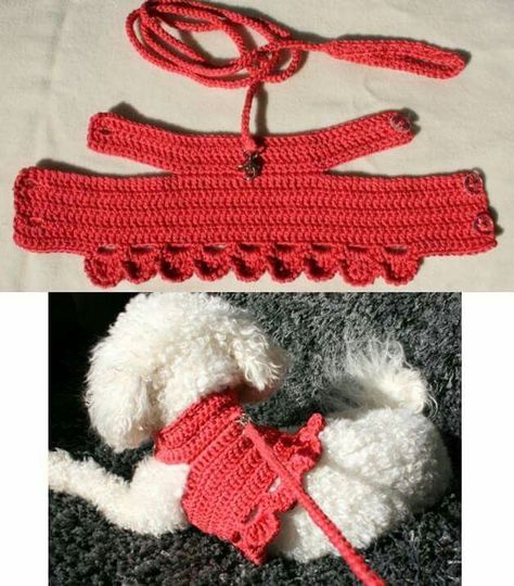 Crocheted Dog, Crochet Dog Clothes, Dog Sweater Crochet Pattern, Dog Sweater Pattern, Cat Clothing, Crochet Dog Patterns, Crochet Dog Sweater, Dog Clothes Diy, Cat Costume