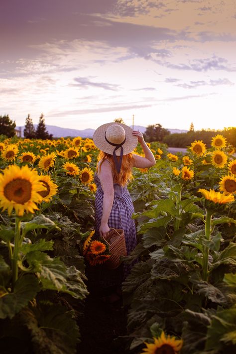 Find the best Sunflower fields in California! #sunflowers #california #flowerfield  read more here: https://whimsysoul.com/best-field-sunflowers-california/ Sunflower Field Pictures, Sunflower Season, Carlsbad Flower Fields, Sunflower Patch, Sunflower Photography, Ranunculus Flowers, West Coast Road Trip, Makijaż Smokey Eye, Sunflower Field