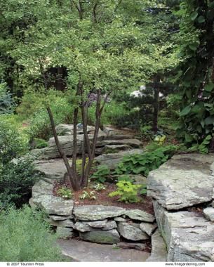 Rock Garden Landscaping, Fine Gardening, Stone Path, Garden Path, Woodland Garden, Landscaping With Rocks, Lush Garden, Shade Garden, Raised Garden