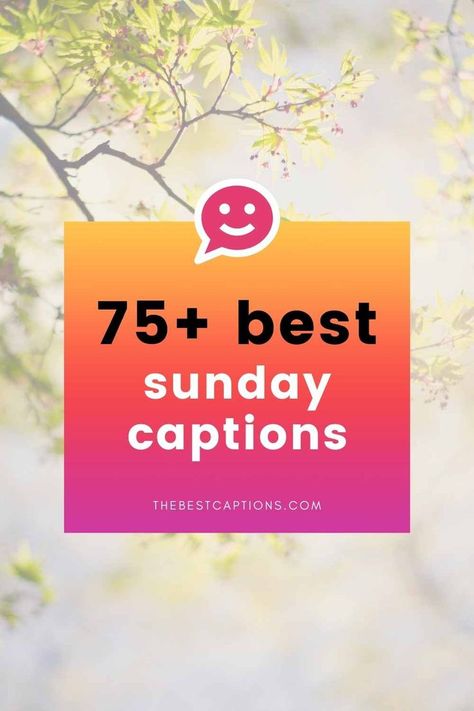 Sunday Funday Quotes, Sunday Captions, Family Captions, Sunday Humor, Sunday Pictures, Sunday Sermons, Riding Quotes, Easy Like Sunday Morning, Falling In Love Quotes