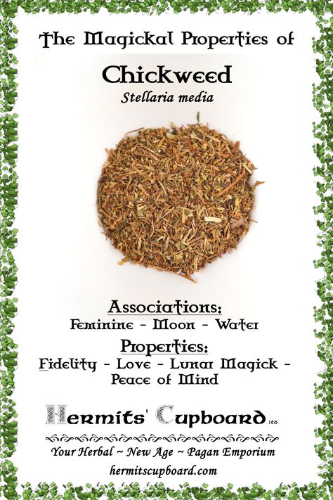 The associations and magickal properties of Chickweed. Purchase yours today at Hermits' Cupboard. Chickweed Magical Properties, Burdock Magical Properties, Chicory Root Magical Properties, Magical Properties Of Allspice, Wormwood Magical Properties, Jar Spells, Magickal Herbs, Plant Magic, Magic Herbs