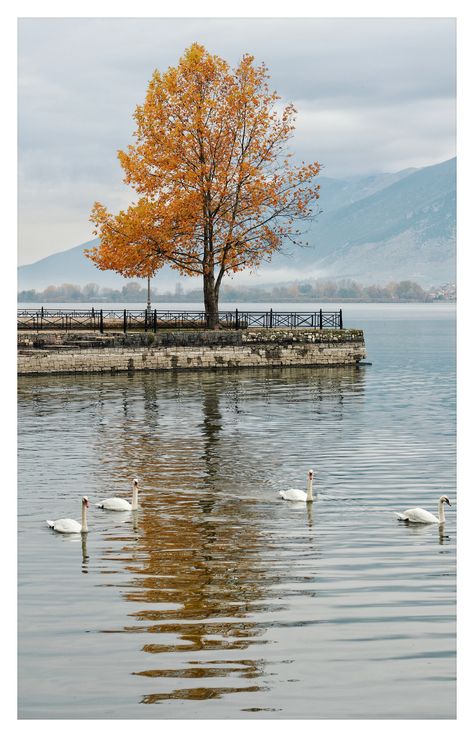 Ioannina Greece, Acropolis, Mykonos, Santorini, Athens, Monument, A Photo, Greece, Lake