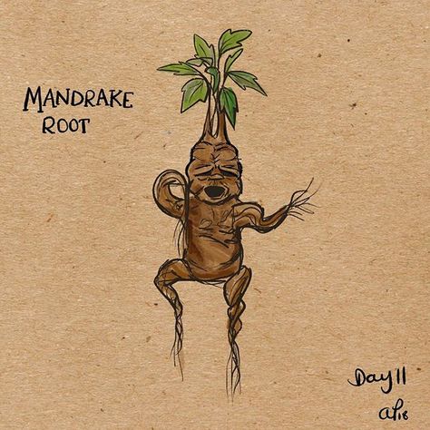 Day 11 drawing a day. Continuing with my magical creatures theme...Mandrake root.  #drawingaday2018 #applepencil #procreate #illustration #mandrakeroot #fantasticbeasts #fantasticbeastsart #magicalcreatures #harrypotter #sketchbook #instaart #makersgonnamake Harry Potter Plants, Harry Potter Mandrake, Harry Potter Creatures, Mandrake Root, Harry Potter Monopoly, Zoo Ideas, Procreate Illustration, Beast Creature, Harry Potter Puns