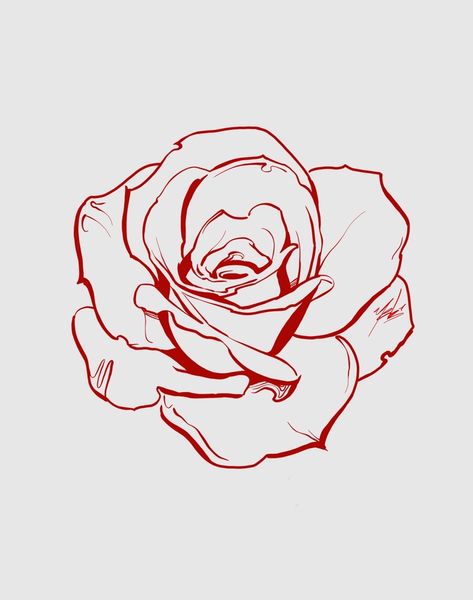 Rose Drawing, Roses Drawing, Tattoo Design Drawings, Rose Tattoos, Tattoo Stencils, A Drawing, Art Drawings Sketches, Flower Tattoos, Red Rose