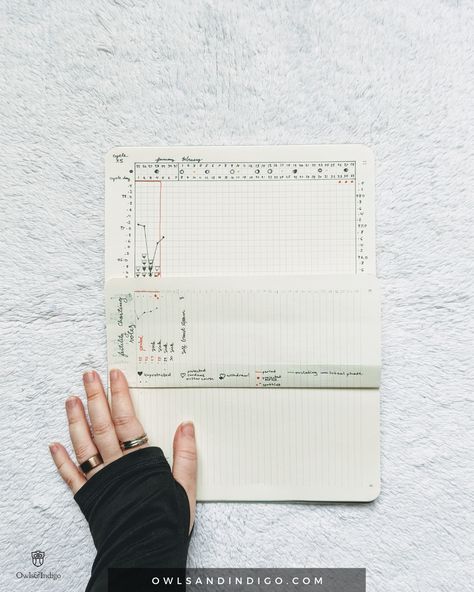 Fertility Awareness Method Chart, Hormone Tracker, Wellness Bullet Journal, Basal Body Temperature Chart, Journal Themes Ideas, Fertility Chart, Minimalist Bujo, Menstrual Cycle Tracker, Natural Birth Control