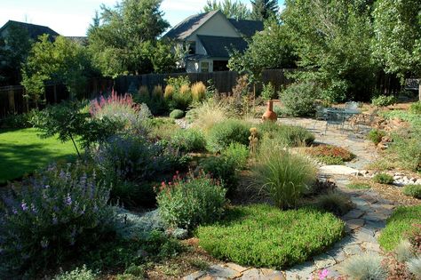 Colorado Springs Xeriscape Garden - Mediterranean - Landscape - Denver - by Sunflower Designs LLC Xeriscape Ideas, Xeriscape Garden, Colorado Landscaping, Waterwise Landscaping, Xeriscape Front Yard, High Desert Landscaping, Spring Landscaping, Xeriscape Landscaping, Colorado Landscape