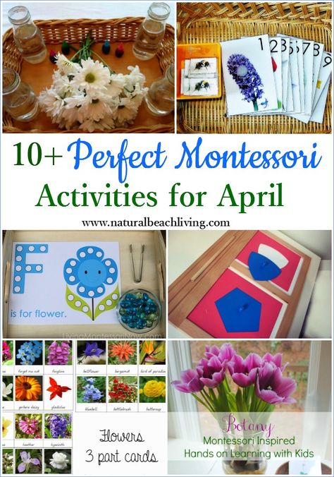 10+ Perfect Montessori April Preschool Activities, Botany, Flower Science, Free Printables, Mapping, Life Cycles, Hands on learning monthly themes Flower Science, April Preschool, Practical Life Activities, Montessori Lessons, Montessori Diy, Montessori Practical Life, Montessori Preschool, Montessori Ideas, Spring Preschool