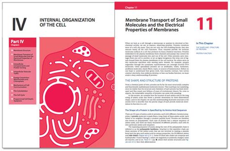 Textbook Page Design, Textbook Layout Design, Textbook Layout, Cover Page Layout, Design Page Layout, Textbook Design, Textbook Cover, Biology Book, Book Design Templates