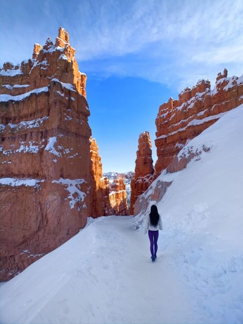 Bryce Canyon Hikes, Bryce National Park, Summer Hike, Utah Hikes, Hiking Destinations, Colorado Hiking, Pacific Crest Trail, Bryce Canyon National Park, Utah National Parks