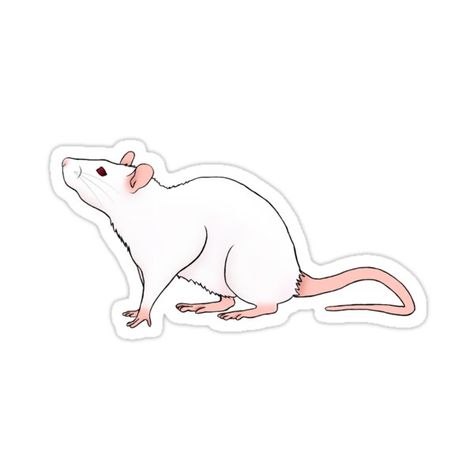 Decorate laptops, Hydro Flasks, cars and more with removable kiss-cut, vinyl decal stickers. Glossy, matte, and transparent options in various sizes. Super durable and water-resistant. Rats make some of the most caring pets, so why not show your love for them with this adorable vinyl sticker? Rats Reference, Rat Drawn Cute, Rat Sticker, Rat Tattoo, Mouse Sticker, Fancy Rat, Mouse Drawing, Arte Van Gogh, Cute Rats